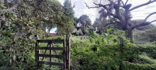 Lote / Terreno de Bairro Para Vender no bairro Eucalipto em Feira De Santana