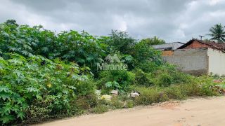 Lote / Terreno de Bairro Para Vender no bairro Mangabeira em Feira De Santana
