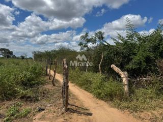 Terreno Para Vender na BR 116, com 48.301 m², em Feira De Santana
