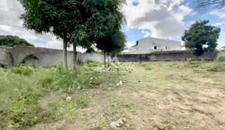 Lote / Terreno de Bairro Para Vender no bairro Sim em Feira De Santana