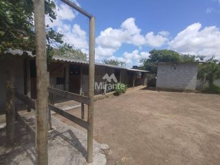 Sítio Para Vender com 1 quarto em Jaíba,  Feira De Santana