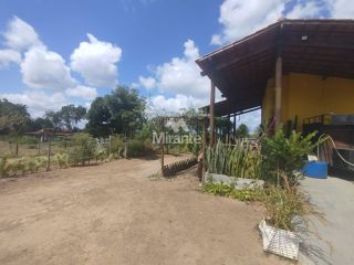 Sítio Para Vender com 1 quarto em Jaíba,  Feira De Santana