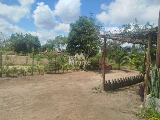 Sítio Para Vender com 1 quarto em Jaíba,  Feira De Santana