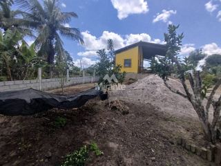 Sítio Para Vender com 1 quarto em Jaíba,  Feira De Santana