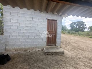 Sítio Para Vender com 1 quarto em Jaíba,  Feira De Santana