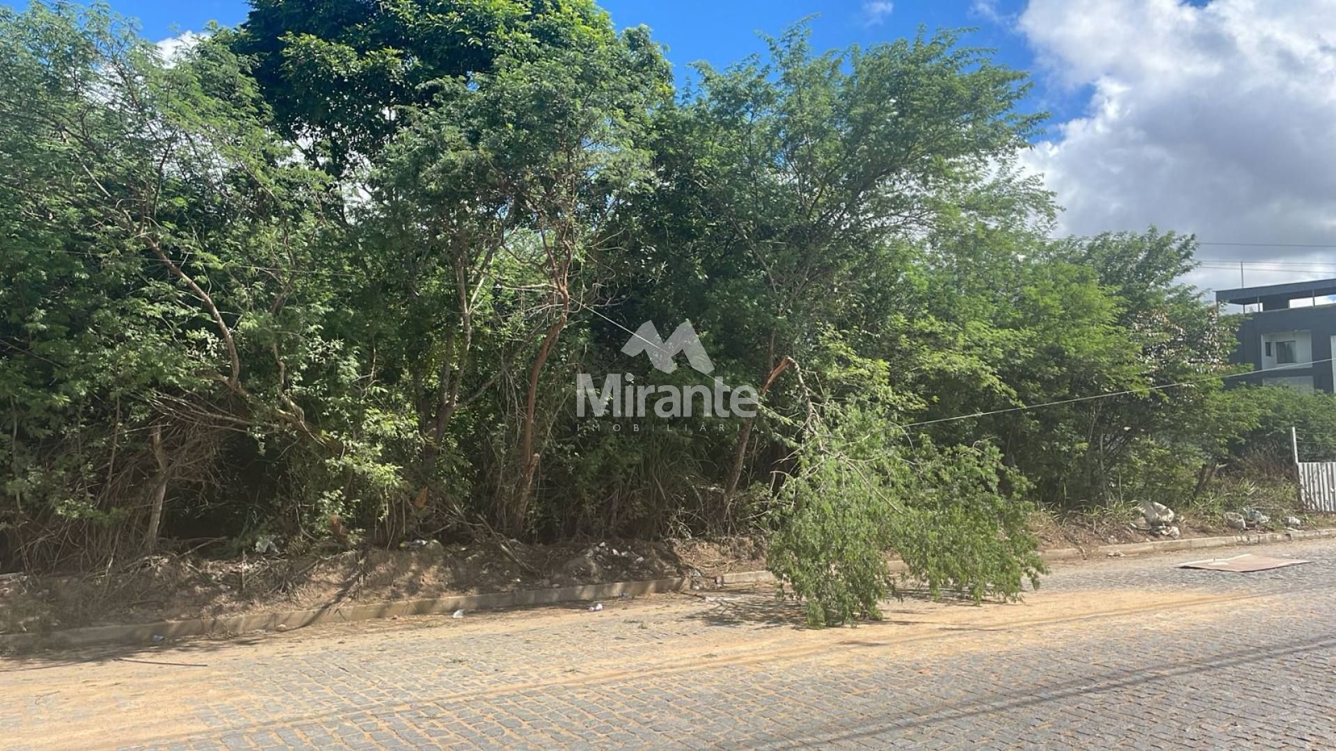 Lote / Terreno de Bairro Para Vender no bairro Sim em Feira De Santana