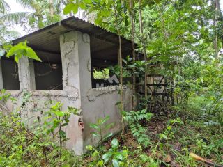 Sítio Para Vender com 4 quartos sendo 2 suítes no bairro Oliveira dos Campinhos em Santo Amaro