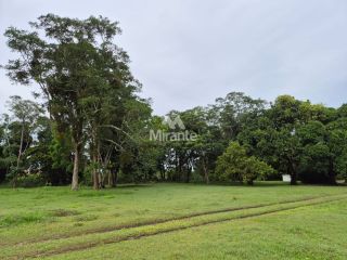 Sítio Para Vender com 4 quartos sendo 2 suítes no bairro Oliveira dos Campinhos em Santo Amaro