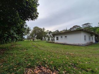 Sítio Para Vender com 4 quartos sendo 2 suítes no bairro Oliveira dos Campinhos em Santo Amaro