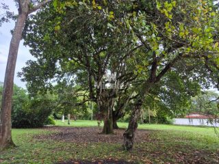 Sítio Para Vender com 4 quartos sendo 2 suítes no bairro Oliveira dos Campinhos em Santo Amaro