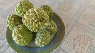 Chácara Para Vender com 3 quartos sendo 1 suítes, no Entroncamento de Tanquinho em Feira De Santana