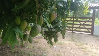 Chácara Para Vender com 3 quartos sendo 1 suítes, no Entroncamento de Tanquinho em Feira De Santana