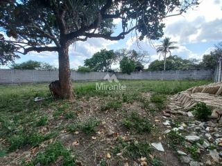 Lote / Terreno de Bairro Para Vender no bairro Lagoa Salgada em Feira De Santana
