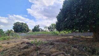 Terreno de Bairro Para Alugar no bairro Sim em Feira De Santana