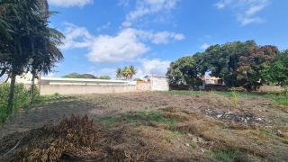 Terreno de Bairro Para Alugar no bairro Sim em Feira De Santana