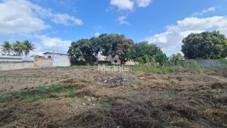 Terreno de Bairro Para Alugar no bairro Sim em Feira De Santana