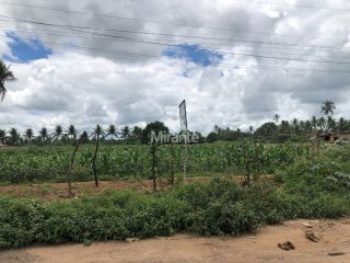 Lote / Terreno Comercial Para Vender na BR 324 em Feira De Santana