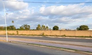 Lote / Terreno de Bairro Para Vender no bairro Papagaio em Feira De Santana