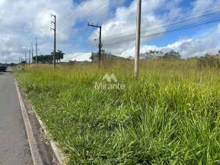 Lote / Terreno Comercial Para Vender no bairro Humildes em Feira De Santana