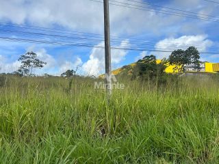 Lote / Terreno Comercial Para Vender no bairro Humildes em Feira De Santana