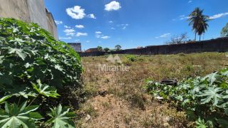 Lote / Terreno de Bairro Para Vender no bairro Queimadinha em Feira De Santana