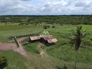 Fazenda Para Vender em São Gonçalo Dos Campos