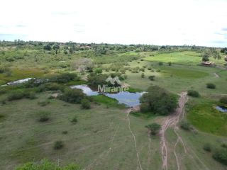 Fazenda Para Vender em São Gonçalo Dos Campos