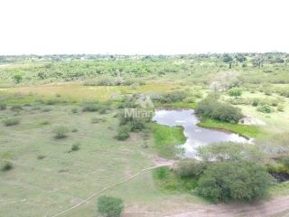 Fazenda Para Vender em São Gonçalo Dos Campos