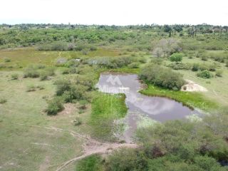 Fazenda Para Vender em São Gonçalo Dos Campos