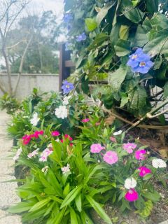 Chácara para Temporada