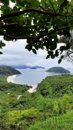 Sítio Recanto dos Pássaros - Prumirim, Ubatuba.
