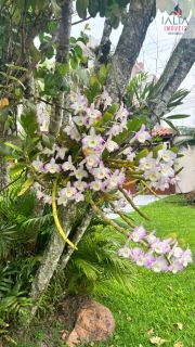 BELÍSSIMA CASA MOBILIADA E COM PISCINA NO PORTO NOVO, PRONTA PARA MORAR