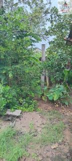 LINDA  CHÁCARA CONTATO DIRETO COM A NATUREZA