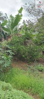 LINDA  CHÁCARA CONTATO DIRETO COM A NATUREZA