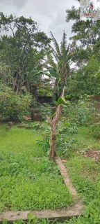 LINDA  CHÁCARA CONTATO DIRETO COM A NATUREZA