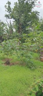 LINDA  CHÁCARA CONTATO DIRETO COM A NATUREZA