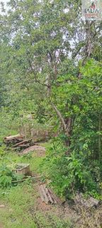 LINDA  CHÁCARA CONTATO DIRETO COM A NATUREZA