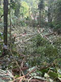 Terreno à Venda no Alto da Praia Velha – Excelente Oportunidade!