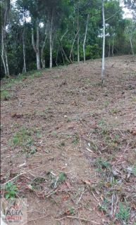 Terreno Exclusivo no Caminho do Bonete – Ubatuba/SP