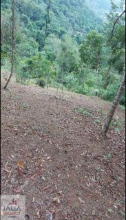 Terreno Exclusivo no Caminho do Bonete – Ubatuba/SP