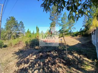 Terreno à venda no Pontal da Fazendinha em Caraguatatuba com 360m² e vista para a natureza