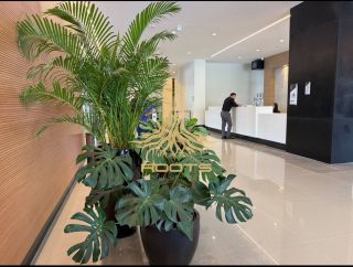 Novas Salas no Premier Centro Médico e Empresarial!