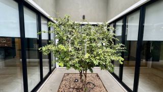 Casa Térrea á Venda com 3 Suítes e Piscina no Condomínio Reserva Saint Paul