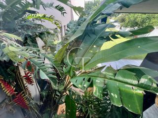 Casa Alto Padrão á Venda no Condomínio Palmeiras Imperiais – Salto/SP 03 Suítes | Mezanino com Vista para o Verde | Área Gourmet | Mobiliada