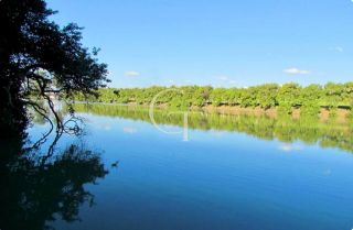 Casa Alto Padrão á Venda no Condomínio Palmeiras Imperiais – Salto/SP 03 Suítes | Mezanino com Vista para o Verde | Área Gourmet | Mobiliada