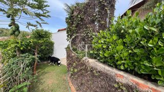 Tradição e aconchego Casa à Venda no Condomínio Campos Santo Antônio