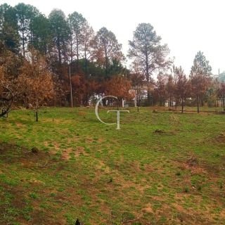 Oportunidade de Investimento: área Próximo ao Outlet Catarina e a 29 km do Futuro Cacau Park