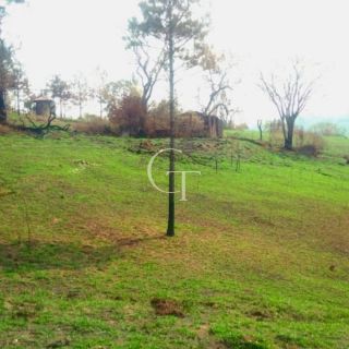 Oportunidade de Investimento: área Próximo ao Outlet Catarina e a 29 km do Futuro Cacau Park