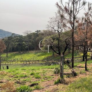 Oportunidade de Investimento: área Próximo ao Outlet Catarina e a 29 km do Futuro Cacau Park