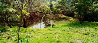 Oportunidade de Investimento: área Próximo ao Outlet Catarina e a 29 km do Futuro Cacau Park